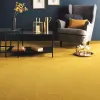 James for Carpets