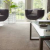 J M S Carpets