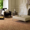 Carpet Gallery
