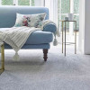Carpet Wise